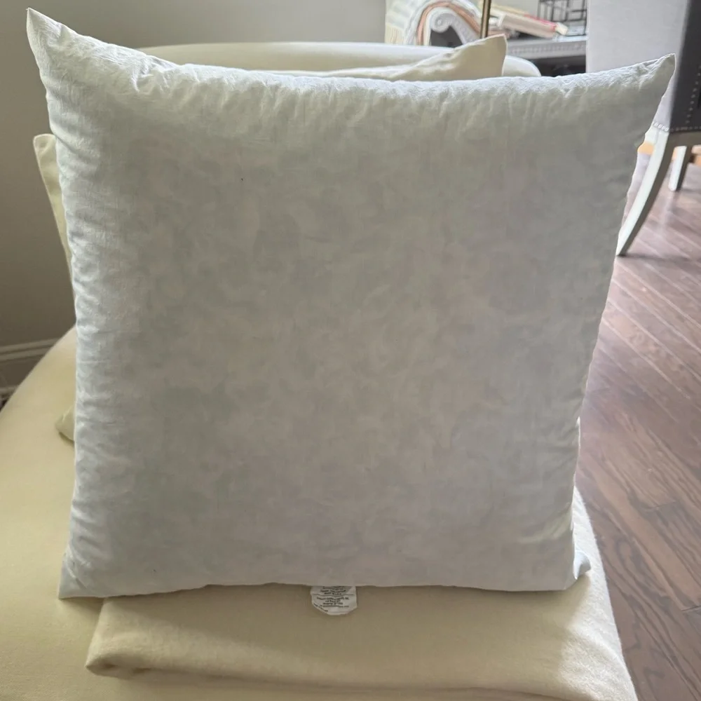 QUALITY DOWN & FIBERS, INC. White Down Pillow Inserts 26x26 EURO
